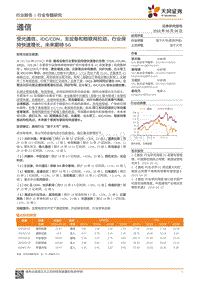 通信行业专题研究：受光通信、IDC、CDN、主设备和物联网拉动，行业保持快速增长，未来期待5G.pdf