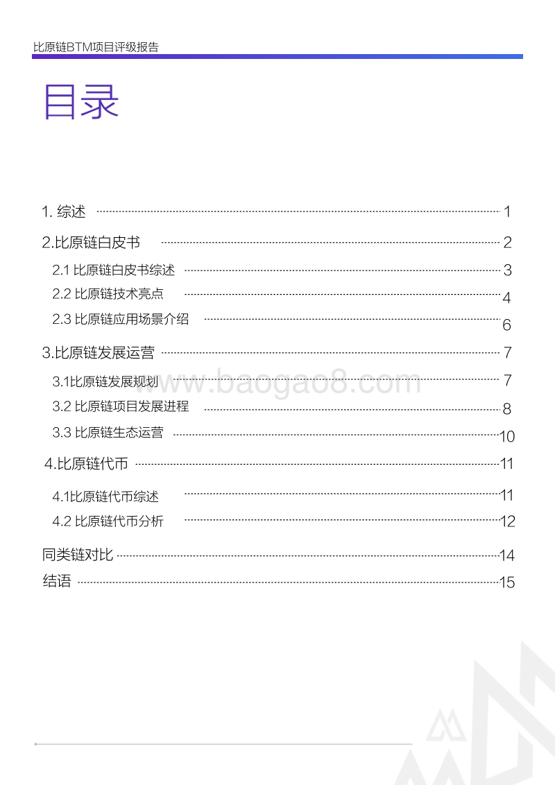 BYTOM比原链项目评级报告.pdf_第2页