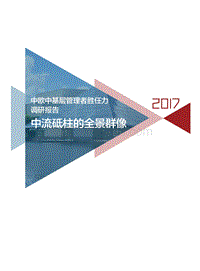 2017中欧中基层管理者胜任力调研报告.pdf