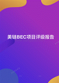 美链BEC项目评级报告.pdf