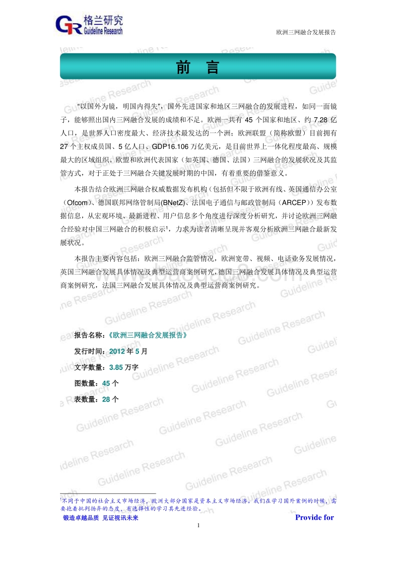 欧洲三网融合发展报告.pdf_第2页