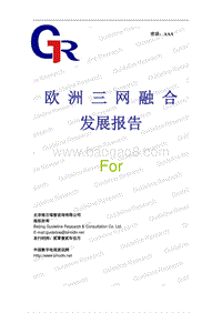 欧洲三网融合发展报告.pdf