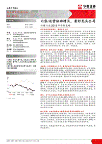 传媒行业2018年中期策略：内容运营驱动增长，看好龙头公司.pdf
