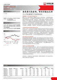 中小市值2018年中期策略报告：独角兽闪亮登场，新经济输血次新.pdf