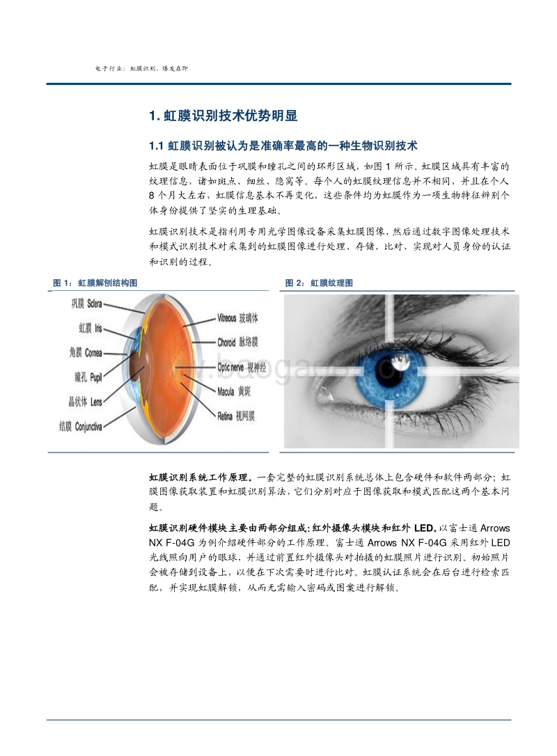 电子行业虹膜识别专题报告.pdf_第4页