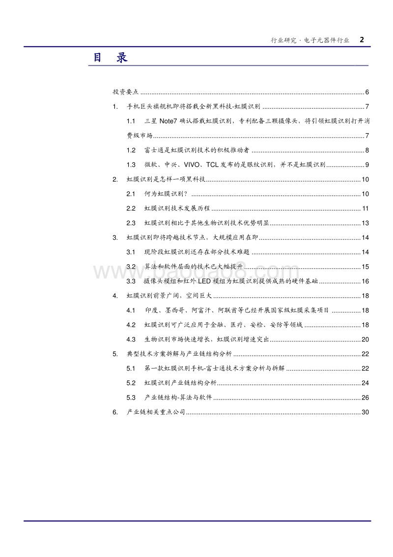 虹膜识别行业研究报告.pdf_第2页
