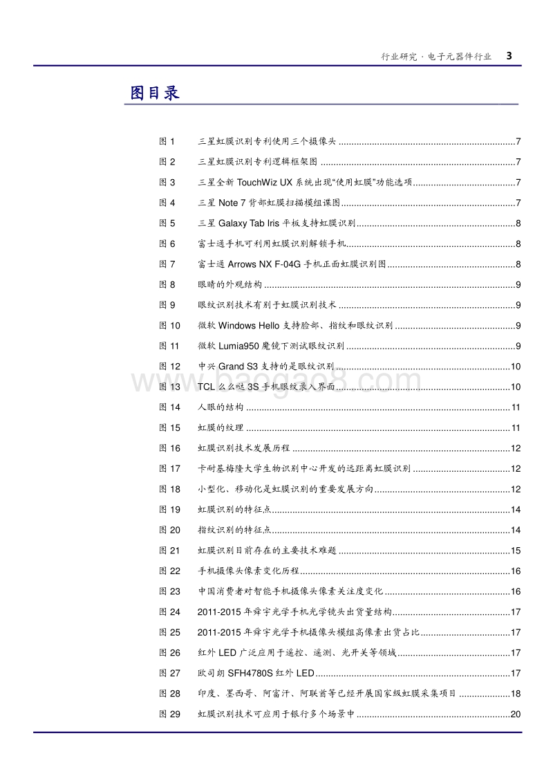 虹膜识别行业研究报告.pdf_第3页