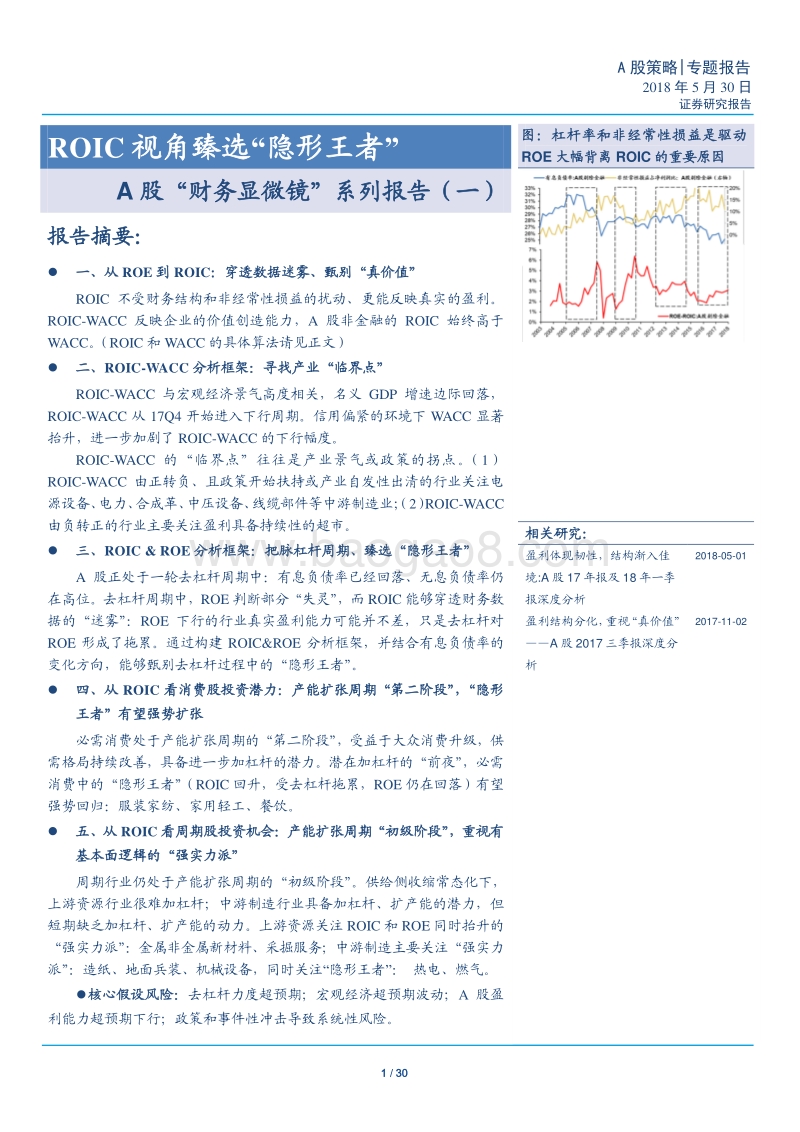 A股ROIC视角臻选分析报告.pdf_第1页