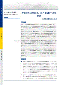 医药创新系列之CAR-T肿瘤免疫治疗分析报告.pdf