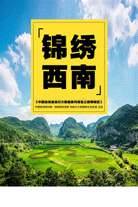 中国省域自由行大数据系列报告之西南地区.pdf