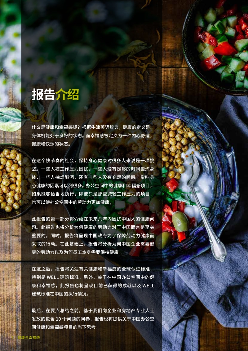 中国的办公室健康与员工幸福感研究报告.pdf_第4页