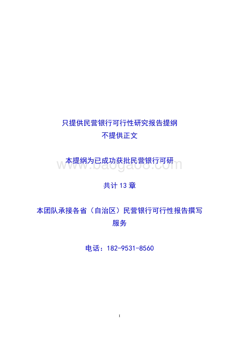 民营银行可行性研究报告提纲.doc_第1页