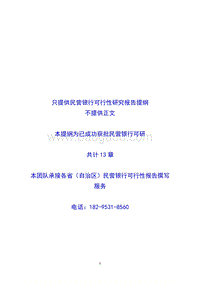 民营银行可行性研究报告提纲.doc