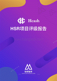 红烧肉HSR项目评级报告.pdf
