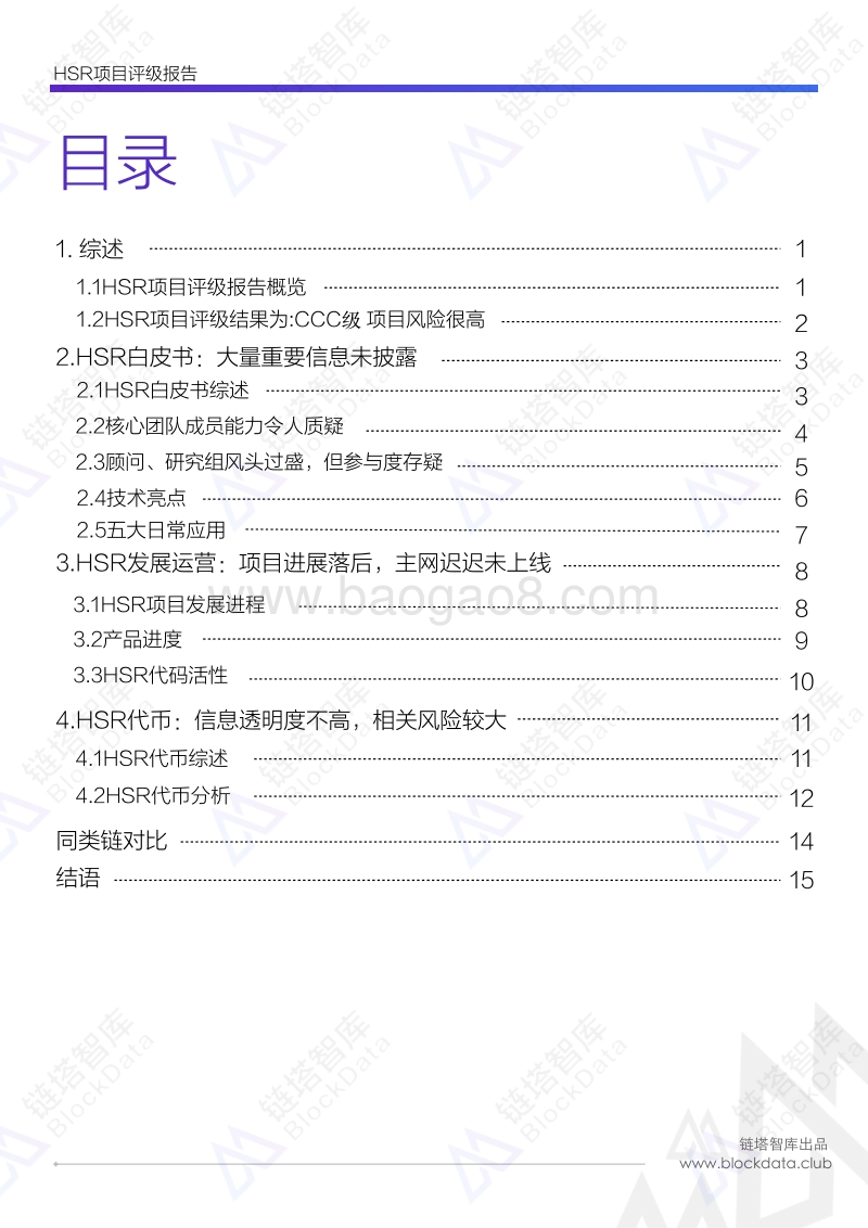 红烧肉HSR项目评级报告.pdf_第2页