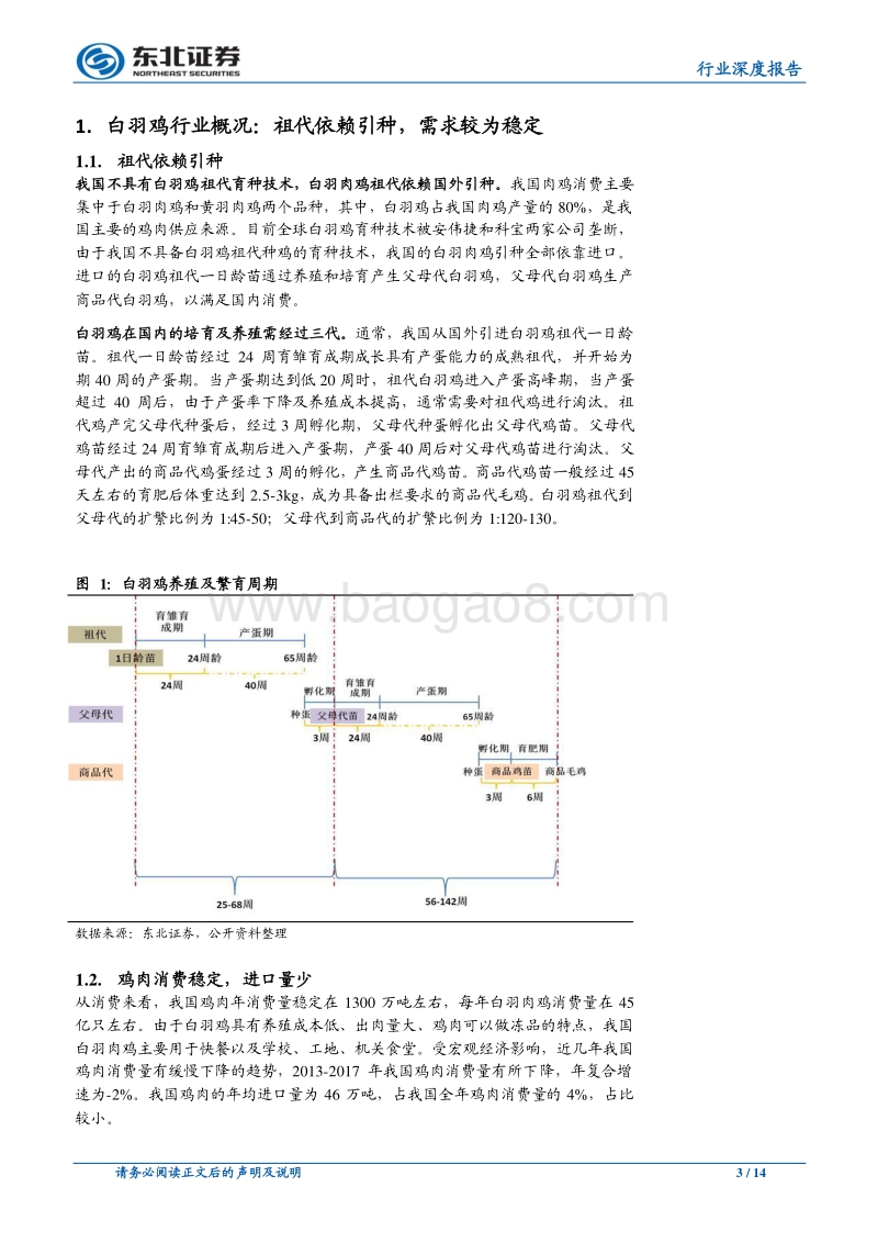 白羽鸡去产能效果显现，行业基本面迎来改善.pdf_第3页