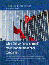 中国的“新常态”对跨国企业的意义与影响（英文版）.pdf