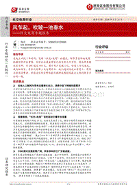 社交电商专题报告：风乍起，吹皱一池春水.pdf