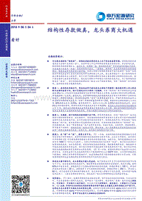非银金融行业深度：结构性存款做真，龙头券商大机遇.pdf