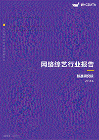 中国网络综艺报告.pdf