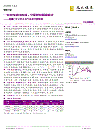 钢铁行业2018年下半年投资策略：中长期预期待改善，中厚板股票是首选.pdf