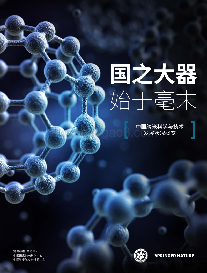 中国纳米科学与技术发展状况概览.pdf_第1页
