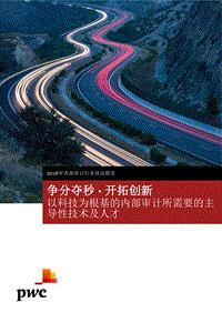 2018年内部审计行业状况研究.pdf