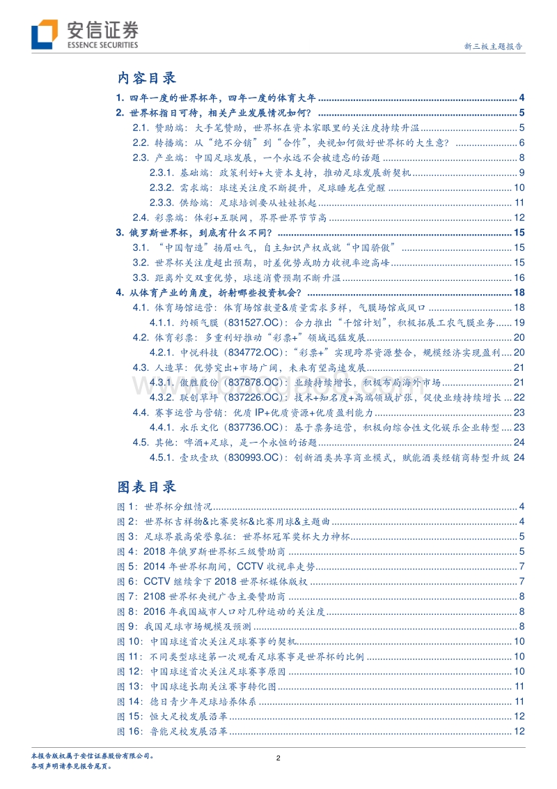 四年一届的世界杯盛会，点燃激情的体育嘉年华.pdf_第2页