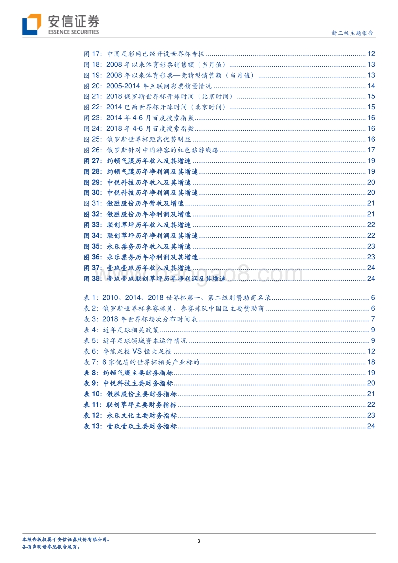四年一届的世界杯盛会，点燃激情的体育嘉年华.pdf_第3页