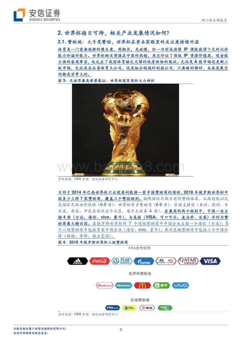 四年一届的世界杯盛会，点燃激情的体育嘉年华.pdf_第5页