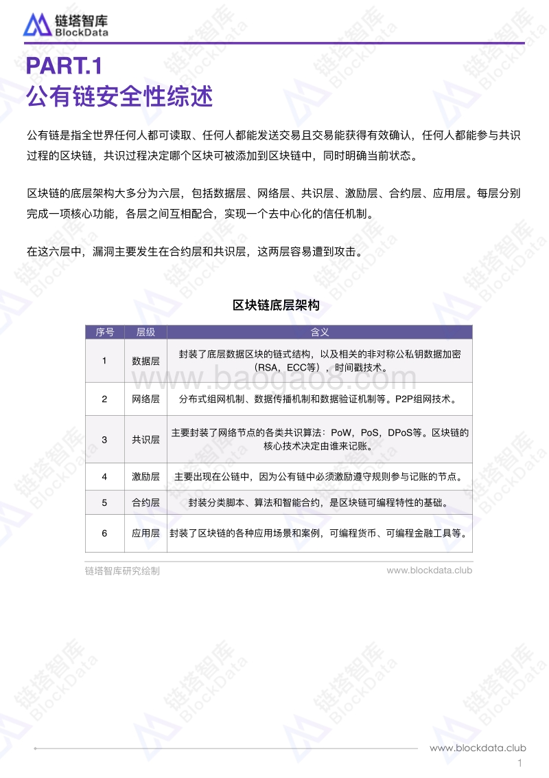 公有链安全性研究报告TOP评分.pdf_第4页