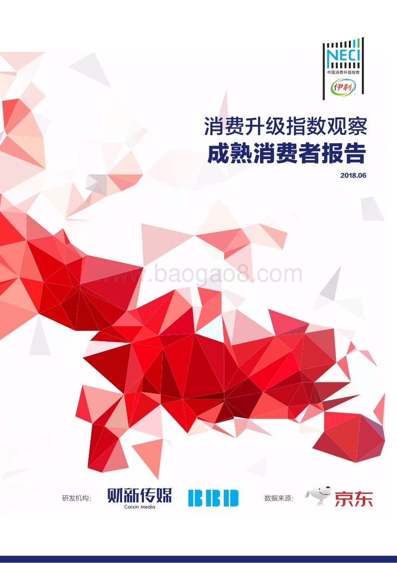 消费升级指数观察：成熟消费者报告.pdf_第1页