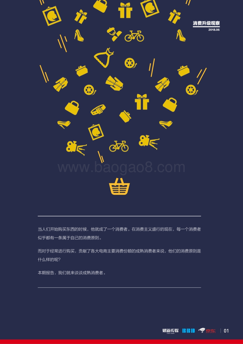 消费升级指数观察：成熟消费者报告.pdf_第2页