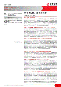 CDR全方位解读：解锁CDR，进击独角兽.pdf