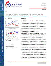 白羽肉鸡行业点评：巴西反倾销初裁落地，利好国内肉鸡产业.pdf