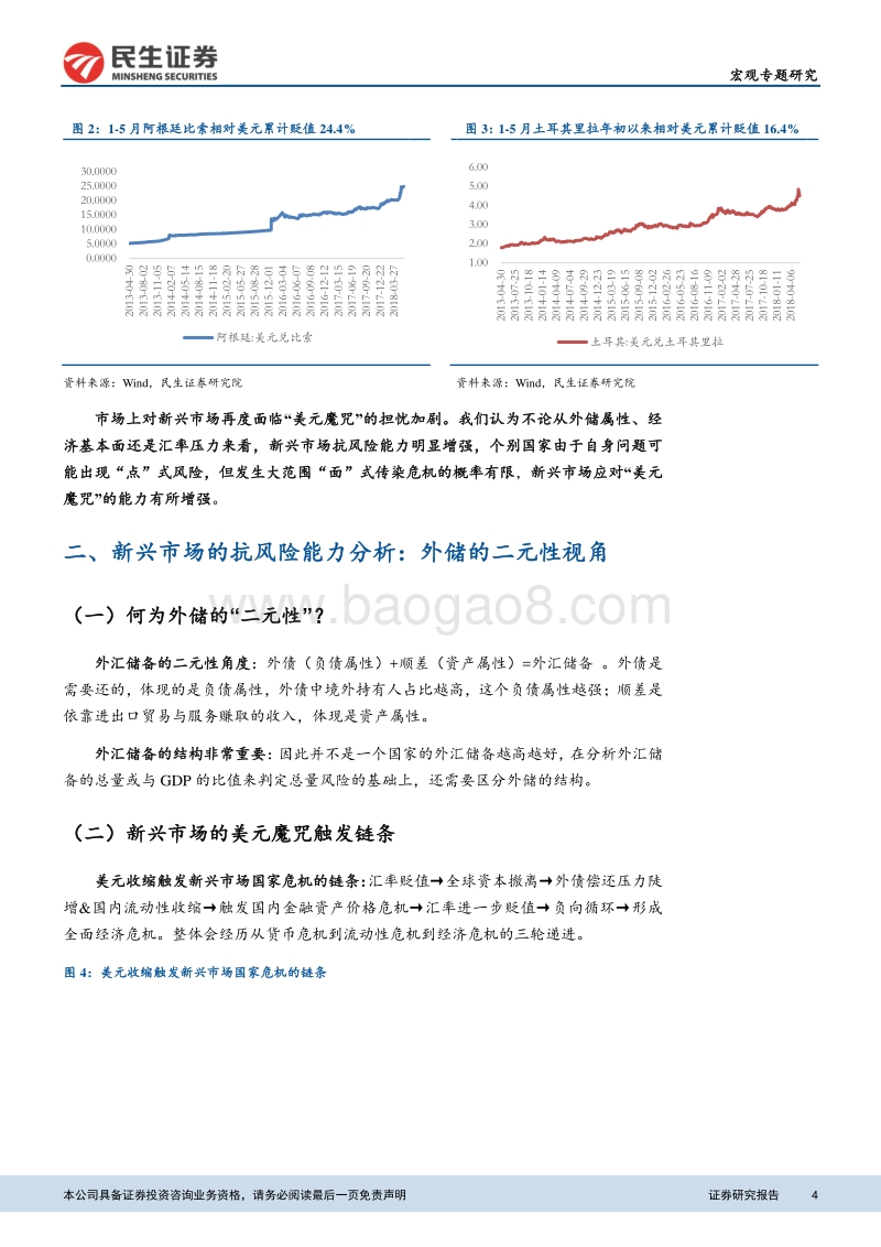 外储二元性角度：新兴市场应对“美元魔咒”能力增强.pdf_第4页