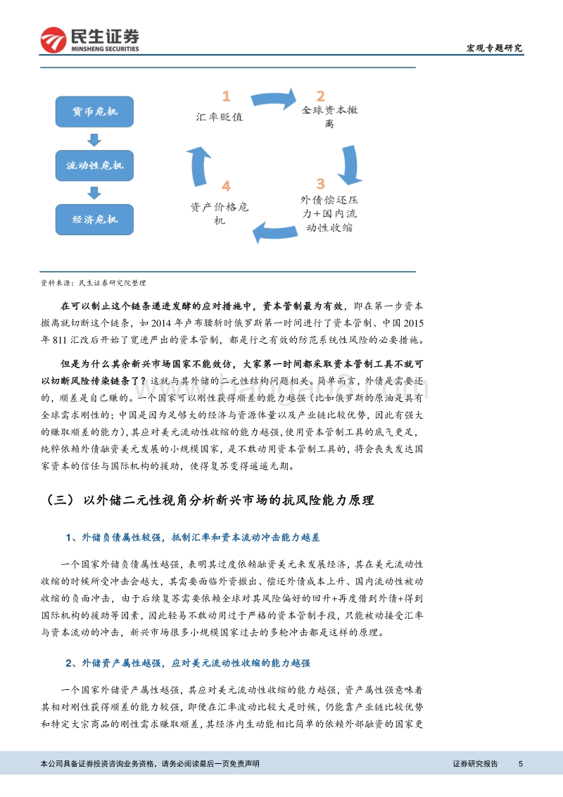 外储二元性角度：新兴市场应对“美元魔咒”能力增强.pdf_第5页
