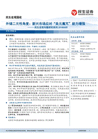 外储二元性角度：新兴市场应对“美元魔咒”能力增强.pdf