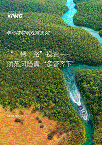 “一带一路”投资：防范风险需“多管齐下”.pdf