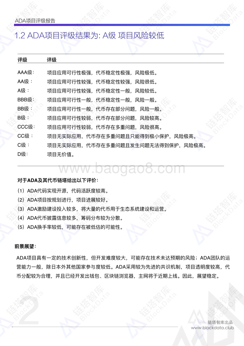 ADA项目评级报告.pdf_第4页