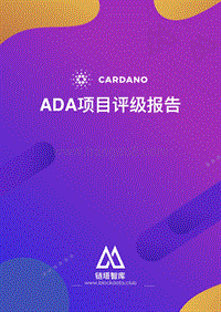 ADA项目评级报告.pdf