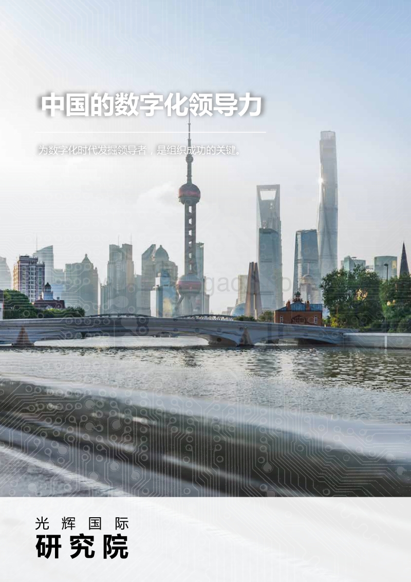 中国的数字化领导力.pdf_第1页