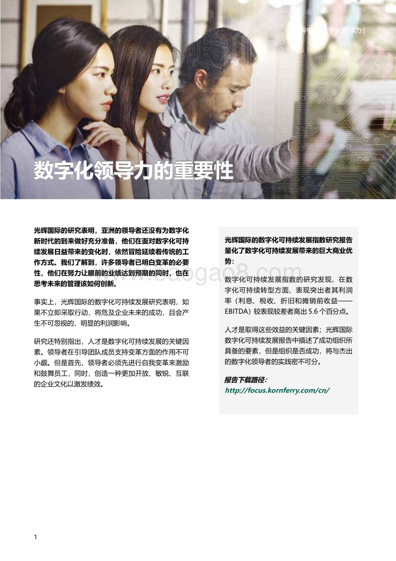 中国的数字化领导力.pdf_第2页