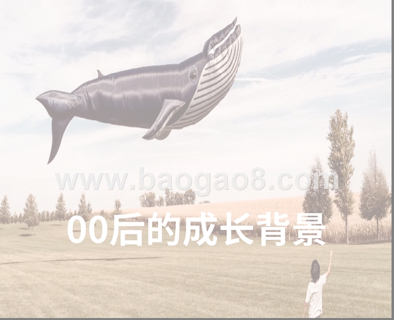 2018年00后研究报告.pptx_第5页
