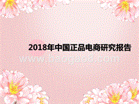 2018年中国正品电商研究报告.pptx