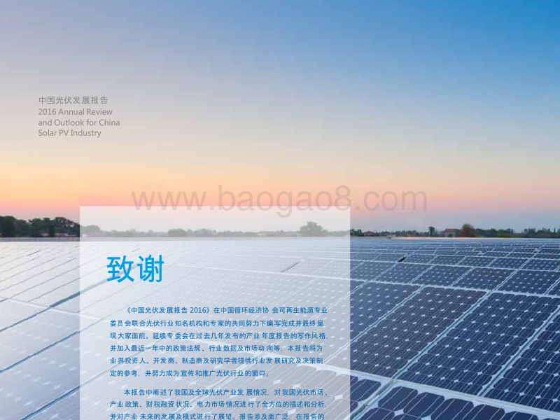 2016-2017中国光伏发展报告.pptx_第2页