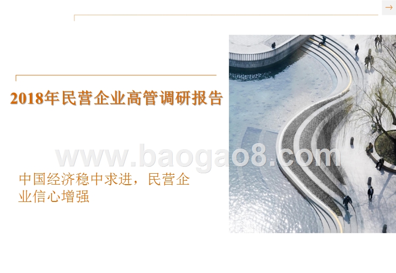 2018年民营企业高管调研报告.pptx_第1页