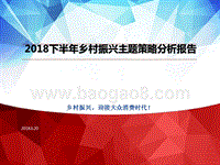 2018下半年乡村振兴主题策略分析报告.pptx