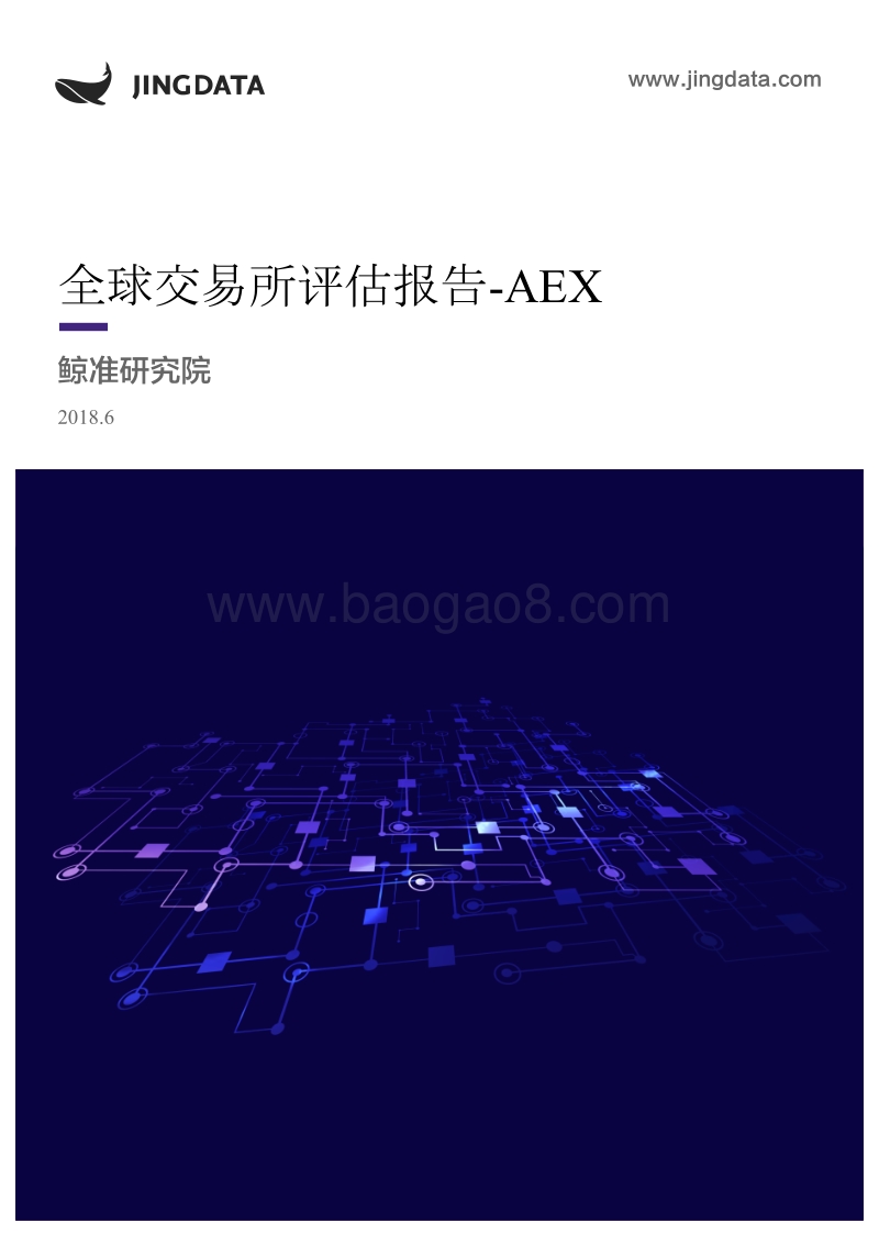 全球交易所评估报告-AEX.pdf_第1页
