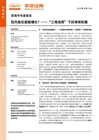 宏观半年度报告：控风险还是稳增长？“三难选择”下的艰难权衡.pdf